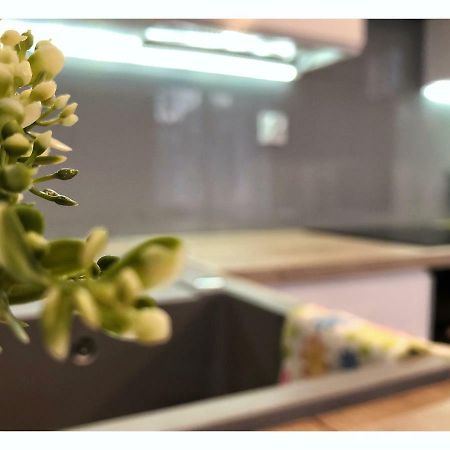 Apartament Przy Ratuszu Rzeszow Ngoại thất bức ảnh
